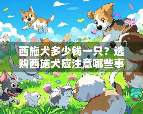 西施犬多少钱一只？选购西施犬应注意哪些事项