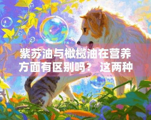 紫苏油与橄榄油在营养方面有区别吗？ 这两种油都含有比较多的不保和脂肪酸，它们的