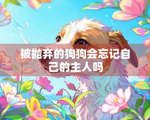 被抛弃的狗狗会忘记自己的主人吗