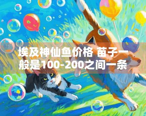 埃及神仙鱼价格 苗子一般是100-200之间一条