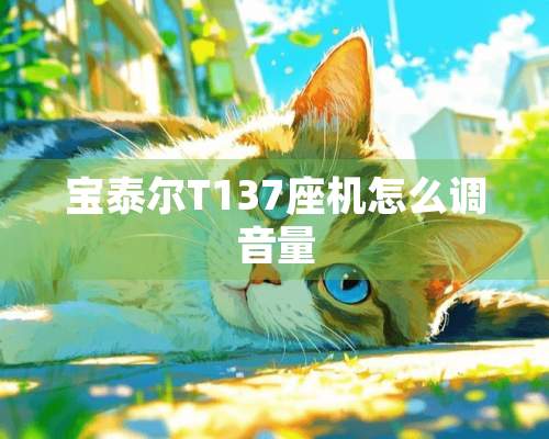 宝泰尔T137座机怎么调音量