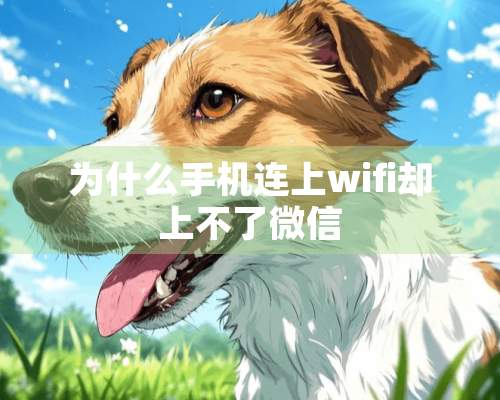 为什么手机连上wifi却上不了微信