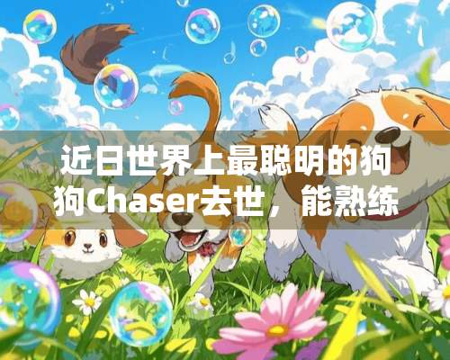 近日世界上最聪明的狗狗Chaser去世，能熟练掌握