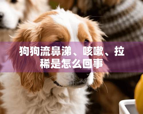 狗狗流鼻涕、咳嗽、拉稀是怎么回事