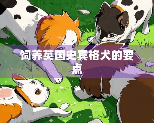 饲养英国史宾格犬的要点