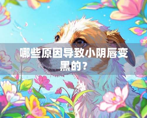 哪些原因导致小*唇变黑的？