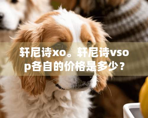 轩尼诗xo。轩尼诗vsop各自的价格是多少？