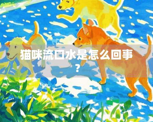 猫咪流口水是怎么回事？