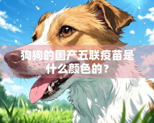 狗狗的国产五联**是什么颜色的？