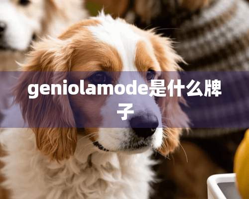 geniolamode是什么牌子