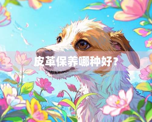 皮革保养哪种好？