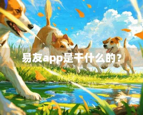 易友app是干什么的？