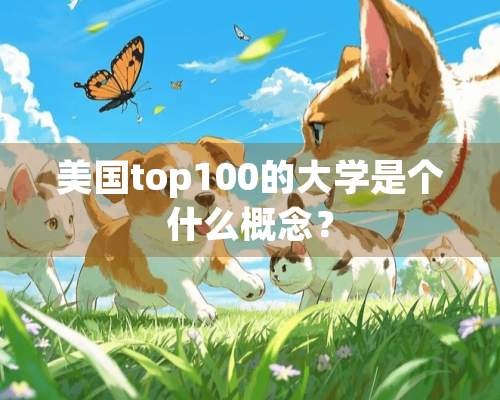 美国top100的大学是个什么概念？