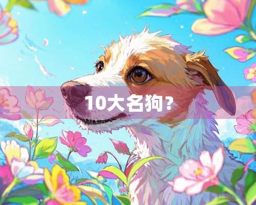 10大名狗？