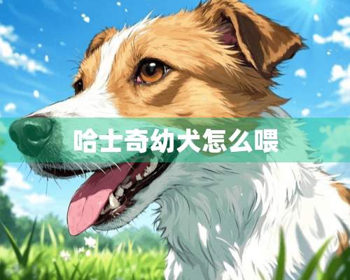 哈士奇幼犬怎么喂