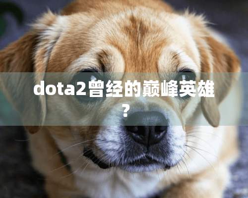 dota2曾经的巅峰英雄？