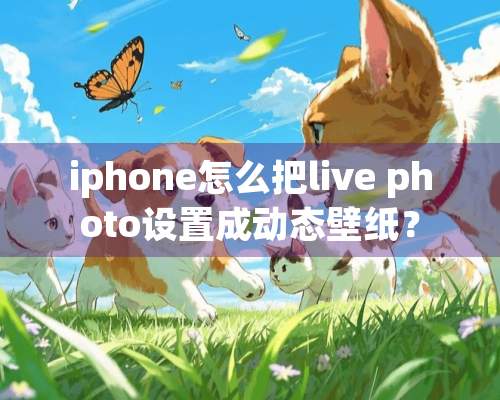 iphone怎么把live photo设置成动态壁纸？