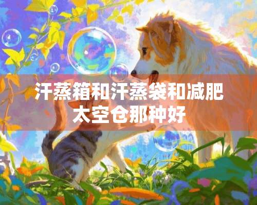 汗蒸箱和汗蒸袋和减肥太空仓那种好