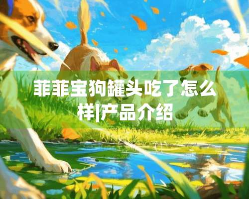 菲菲宝狗罐头吃了怎么样|产品介绍