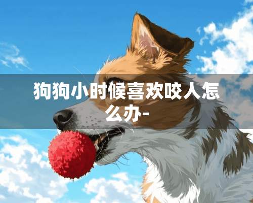 狗狗小时候喜欢咬人怎么办-