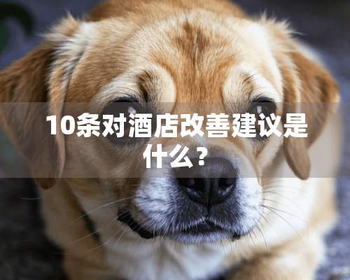 10条对酒店改善建议是什么？