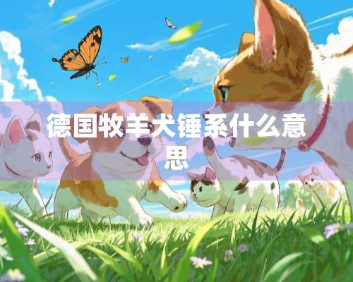 德国牧羊犬锤系什么意思