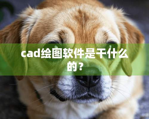 cad绘图软件是干什么的？