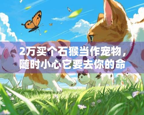 2万买个石猴当作宠物，随时小心它要去你的命