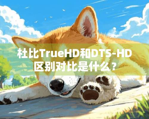 杜比TrueHD和DTS-HD区别对比是什么？