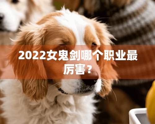 2022女鬼剑哪个职业最厉害？