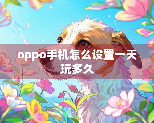 oppo手机怎么设置一天玩多久