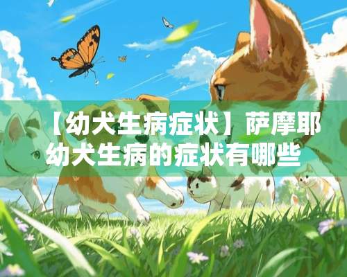 【幼犬生病症状】萨摩耶幼犬生病的症状有哪些