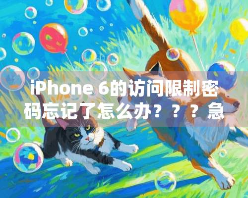 iPhone 6的访问限制密码忘记了怎么办？？？急急急