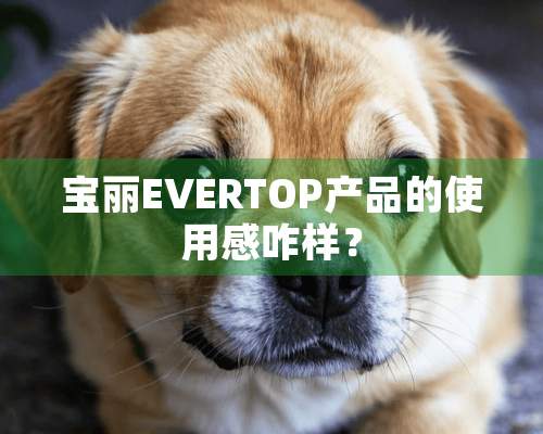 宝丽EVERTOP产品的使用感咋样？