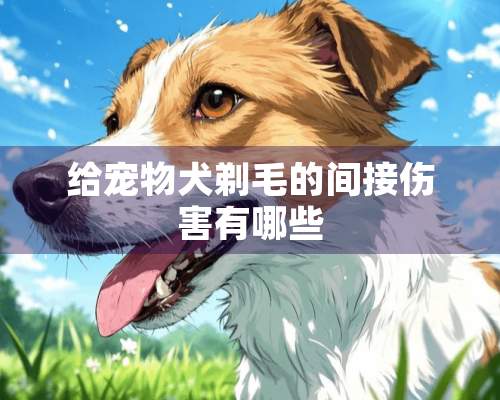 给宠物犬剃毛的间接伤害有哪些