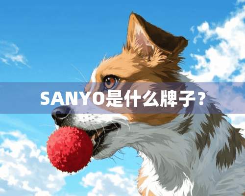 SANYO是什么牌子？