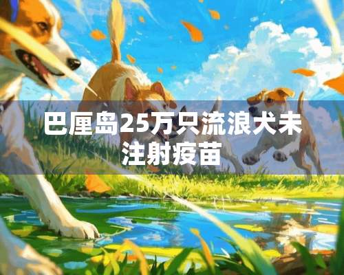 巴厘岛25万只流浪犬未注射疫苗