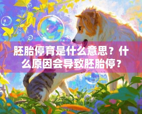 胚胎停育是什么意思？什么原因会导致胚胎停？