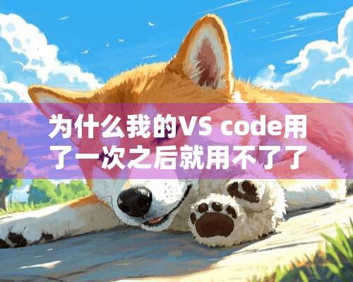 为什么我的VS code用了一次之后就用不了了