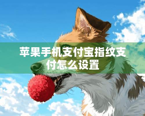 苹果手机支付宝指纹支付怎么设置