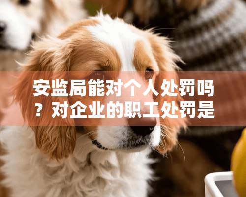 安监局能对个人处罚吗？对企业的职工处罚是否应该单位交？