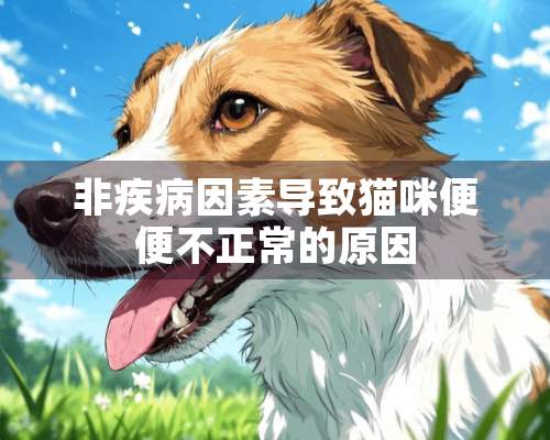 非疾病因素导致猫咪便便不正常的原因