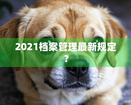 2021档案管理最新规定？