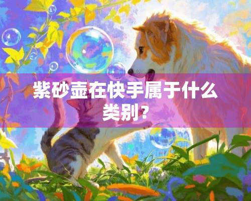 紫砂壶在快手属于什么类别？