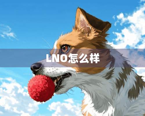 LNO怎么样