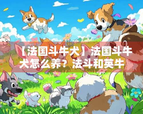 【法国斗牛犬】法国斗牛犬怎么养？法斗和英牛的