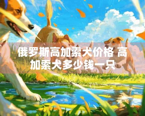 俄罗斯高加索犬价格 高加索犬多少钱一只