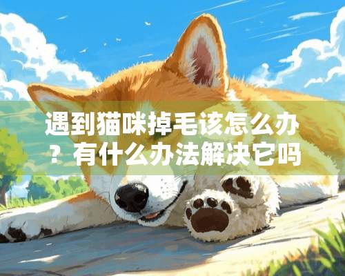 遇到猫咪掉毛该怎么办？有什么办法解决它吗？