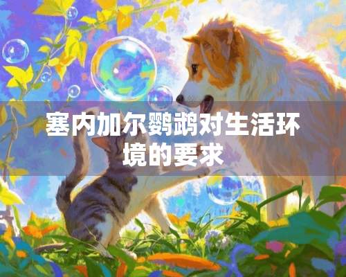 塞内加尔鹦鹉对生活环境的要求