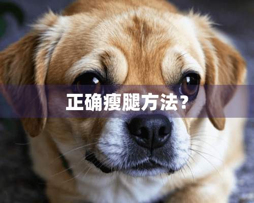 正确瘦腿方法？